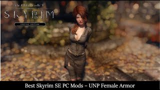 Best Skyrim Mods  UNP Female Armor [upl. by Tobin50]