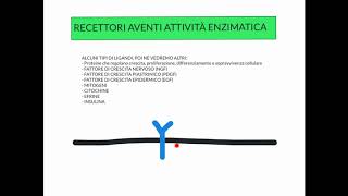 CORSO DI BIOLOGIA CELLULARE 1  LEZIONE 15 DI 23  RECETTORI AD ATTIVITA ENZIMATICA  PARTE 1 [upl. by Jutta546]