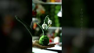 snowdrops moss ball poongcrafts diy kokedama [upl. by Liarret543]