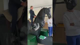 equestrianlife ponyclub first time on mechanical horse ponyfun [upl. by Goggin297]