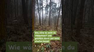 Wie wäre es unbeschwert und voller Vertrauen durch den Wald zu streifen [upl. by Nylirak752]