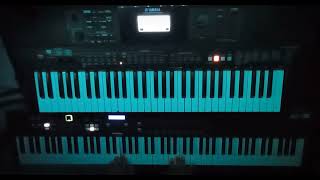 Rammstein  Spiel Mit Mir Keyboard Cover [upl. by Pergrim]