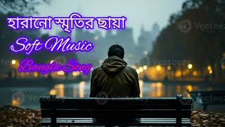 Harano Smritir Chaya  Sad LoFi Song  New Bangla Song [upl. by Barde916]