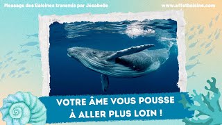 Votre Âme vous pousse à aller plus loin   Message dAmour des Baleines [upl. by Abehsile]