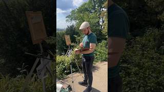 PleinAir Painting on Richmond Hill London oilpainting pleinair richmond nature [upl. by Wemolohtrab]