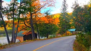 Gatineau Park in Fall canada quebec [upl. by Fraase]