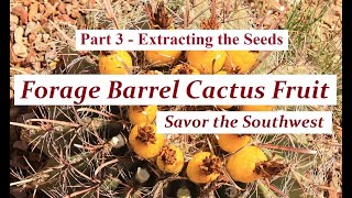 Forage Barrel Cactus  Part 3 🏜️ Savor the Southwest [upl. by Varick]