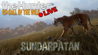 Sundarpatan Adventure  theHunter Call of the Wild cotw [upl. by Alaj78]