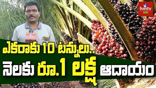 ఎకరాకు 10 టన్నులునెలకు రూ1 లక్ష ఆదాయం  Palm Oil Cultivation  Chittoor Dist  hmtv Agri [upl. by Colville666]