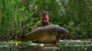 A closer look on CarpInsula carp lakes in Belgium [upl. by Nehemiah]