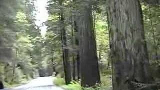 Bicycling N California coast route part 1 to Eureka [upl. by Justine]