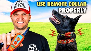 E collar training for beginnersHow to train a dog using the remote collar [upl. by Atig]