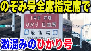 【格差が激しい？】のぞみ全車指定席になった帰省ラッシュでひかり号の自由席に乗ってみた結果【東海道新幹線】 [upl. by Ninaj593]