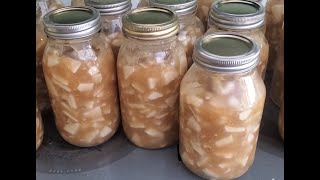 Apple pie filling [upl. by Amrak456]