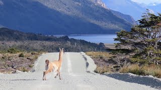 Tierra del Fuego Chile [upl. by Akin]