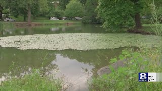 CyanoHABs remain a concern for lakes across Western New York [upl. by Gretel]