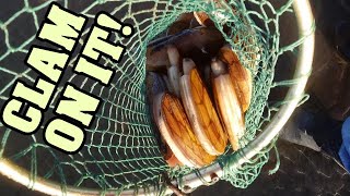 Predicting the best razor clam digging conditions [upl. by Enyamart]