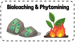 Bioleaching amp Phytomining Alternative Methods of Extracting Metals  GCSE Chemistry Revision [upl. by Cutcliffe718]