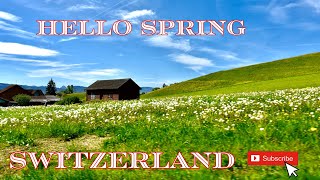 WÄDENSWIL TO ZÜRICH SPRING DRIVE  SWITZERLAND 🇨🇭  4K 60FPS [upl. by Laban]