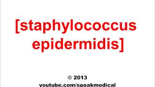 Pronounce Staphylococcus Epidermidis  SpeakMedical [upl. by Siseneg]