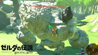 世界が絶賛した史上最高の神ゲー『 ゼルダの伝説 ブレス オブ ザ ワイルド 』2 [upl. by Hobie]