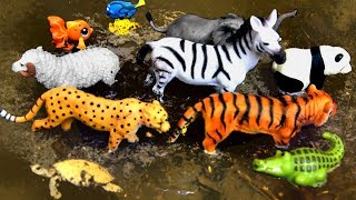 Learn Wild Zoo Animals For Children Safari Animal Names Educational Toy Videos For Kids [upl. by Assirrem]