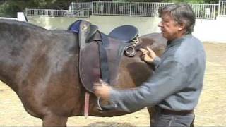 Colin Dangaard talks About Stuffed Pannel Aussie Saddles [upl. by Rik721]