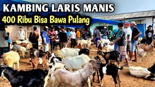 Harga Kambing Dapat Subsidi [upl. by Ttirrem258]