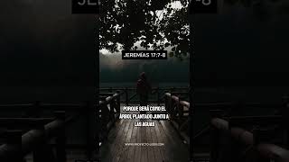 JEREMIAS 17 7 8 🙌 EN AUDIO🙌 jeremias bibliaenaudio biblia fe antiguotestamento bibliahablada [upl. by Niwled627]