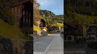 Switzerland village Beatenberg nature swissbeauty switzerland mountains beautiful alps [upl. by Eiliab569]