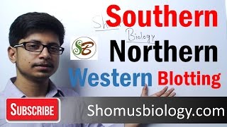 Difference between Southern and northern blotting and western blotting [upl. by Ettelra]