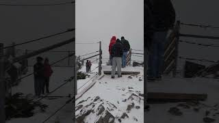 Sulphur Mountain top [upl. by Pfister]