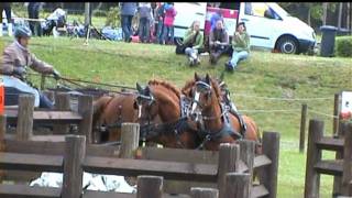 PONY WM QUALI  SCHILDAU 2011 [upl. by Nacul212]