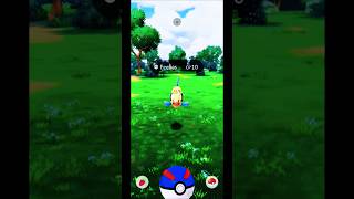 Catching Feebas in Pokemon GO Shorts Feebas PokemonGOGameplay [upl. by Sine]