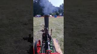 steam traction world 4 inch Burrell agricultural traction engine [upl. by Woody]