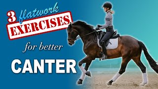 Top Three Canter Exercises for Eventers [upl. by Akerahs]