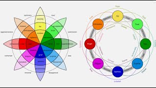 Plutchiks Wheel of Emotions Explained [upl. by Wyn]