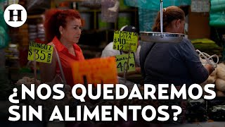 Sobreproducción de alimentos ha terminado con 70 de la biodiversidad del planeta alertan expertos [upl. by Llemij]