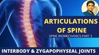 INTERBODY amp ZYGAPOPHYSEAL JOINTS ARTICULATIONS OF SPINE  BIOMECHANICS OF SPINE PART 3 [upl. by Vories803]