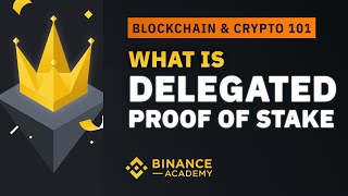 What is Delegated Proof of Stake DPoS ｜Explained For Beginners [upl. by Okemak]