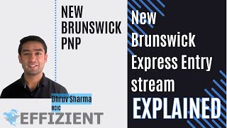 New Brunswick PNP Explained  Express Entry Stream [upl. by Charmian]