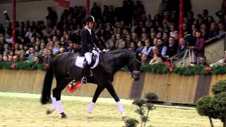 Kardinal  Sosath Stallion Show 2014 [upl. by Karlie]