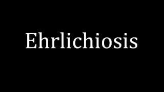 How to pronounce Ehrlichiosis [upl. by Wehrle492]