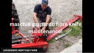 How To Repair a Maschio Gaspardo Sickle Bar Mower [upl. by Jablon]