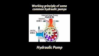 Working Principle Of Hydraulic Pumps [upl. by Tnaryb]