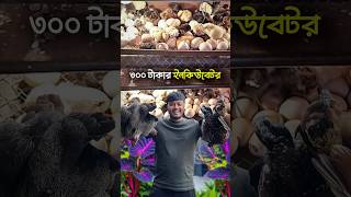 ৩০০ টাকার প্রাকৃতিক ইনকিউবেটরে ফুটবে যেকোনো পাখির ডিম [upl. by Laved]