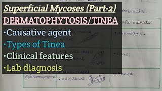 Dermatophytosis  Causative agent  Types of Tinea  Clinical Feature  Lab diagnosis [upl. by Murray]