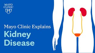 Mayo Clinic Explains Kidney Disease [upl. by Parrisch106]