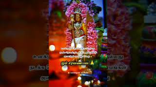 ஓம் சரவணபவ 🙏அப்பா முருகா போற்றி போற்றி 🔥shortsfeed shorts devotionalsong murugansong ytshorts [upl. by Asilrak559]