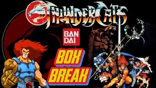 Thundercats Trading Cards 2011 Bandai  BOXBREAK  LIONO unboxing tradingcards collection [upl. by Ydnelg]